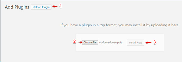 cai-dat-AMP-for-WPForms-1