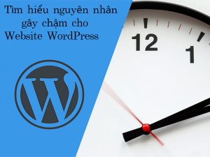 Nguyen-nhan-gay-cham-cho-wordpress