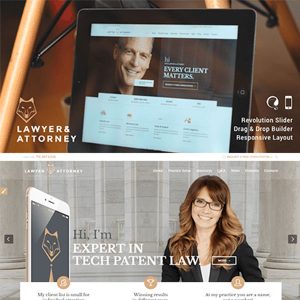 Lawyer & Attorney