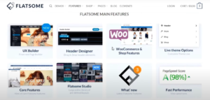 Cập nhật những tính năng nổi bật của theme Flatsome