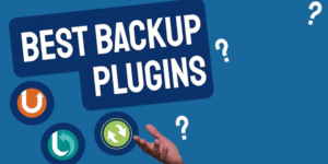 plugin backup WordPress