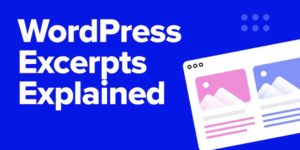 Cách sử dụng Excerpt hiệu quả trong WordPress