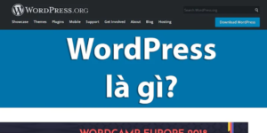 Giới thiệu về WordPress org là gì