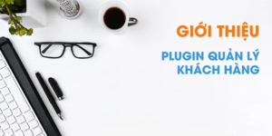 Giới thiệu về plugin quản lý khách hàng WordPress